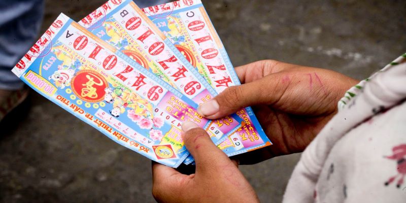 Điểm hấp dẫn của cách nuôi lô khung 1 ngày